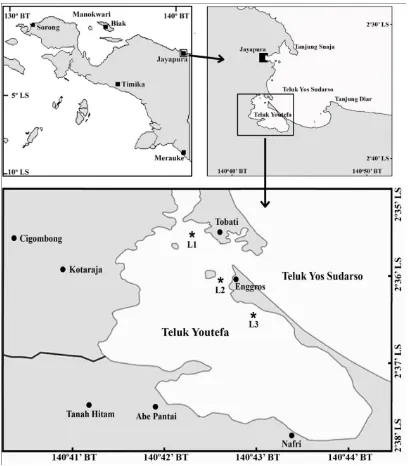 Gambar 1. Lokasi Penelitian di Teluk Youtefa Jayapura Papua 