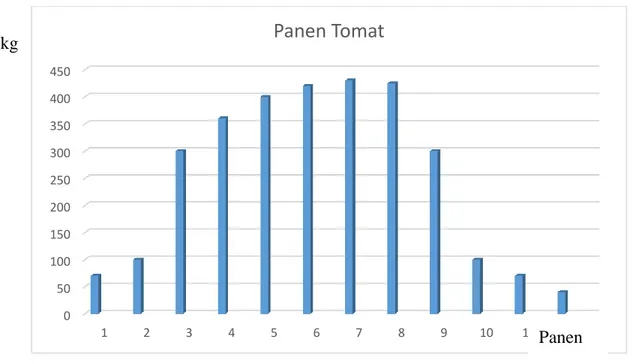 Gambar 1. 1 Grafik Panen Tomat 