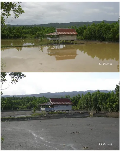 Figure 5. Artificial pond or tambak near Kendari, above, at high tide, 15 June 2010, 1500-1630 (LRP 10-09), below, at low tide, 20 June 2010, 1645-1730 (LRP 10-22)