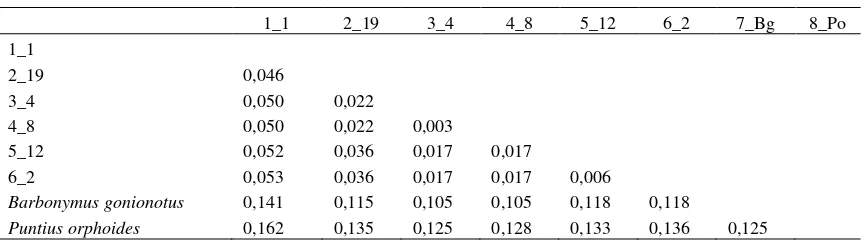 Tabel 2. Estimasi perbedaan jarak evolusi diantara hasil sekuen sepanjang 710 bp 
