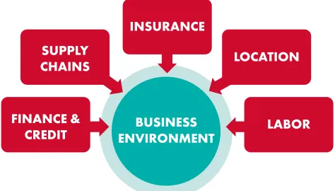 Figure 2: Factors in the business environment that determine and  
