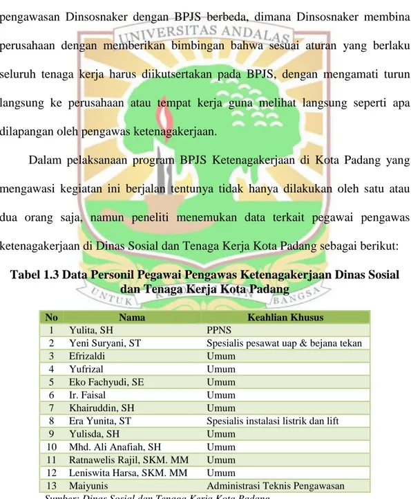 Tabel 1.3 Data Personil Pegawai Pengawas Ketenagakerjaan Dinas Sosial  dan Tenaga Kerja Kota Padang 