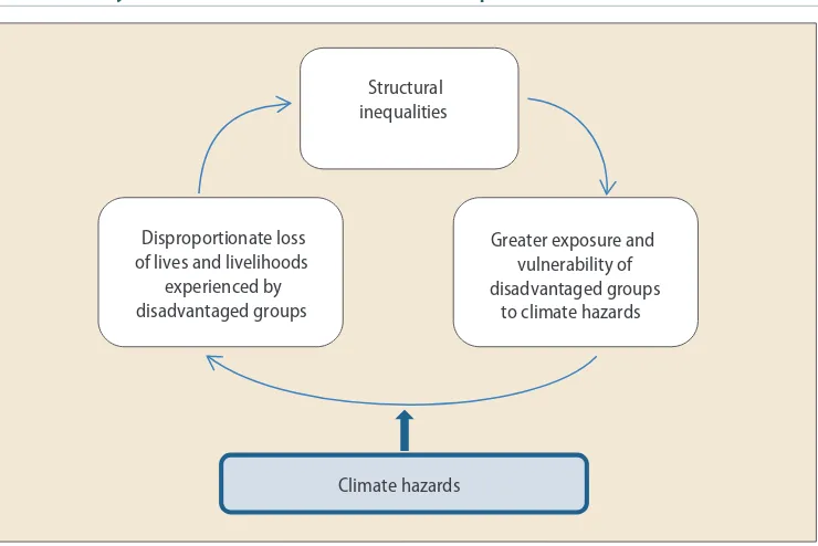Figure II.1The vicious cycle between climate hazards and inequalities