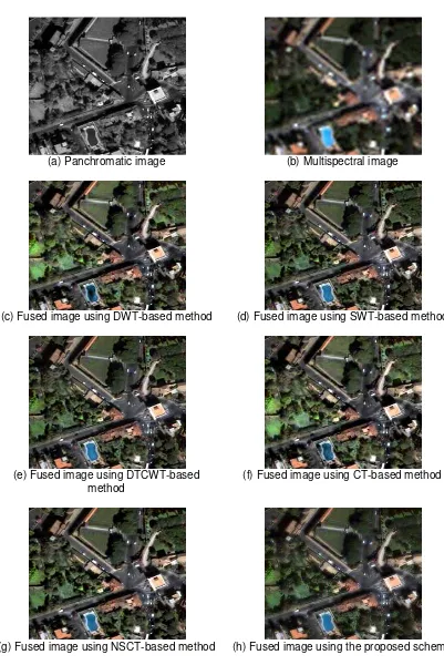 Figure 1. Source images and the fused images (256*256 pixels) 