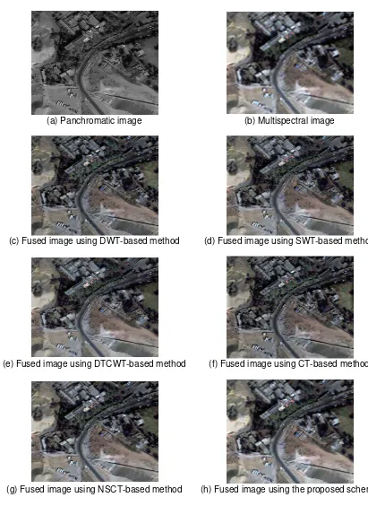 Figure 2. Source images and the fused images (512*512 pixels) 