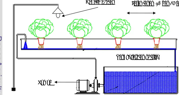 Gambar 1 Skema sistem NFT untuk budidaya tanaman. 