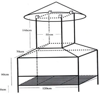 Gambar 4. Kiln Semi Kontinyu Type P3THH 