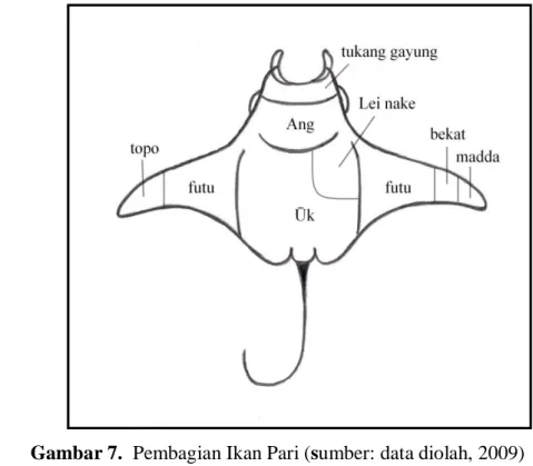 Gambar 7.  Pembagian Ikan Pari (sumber: data diolah, 2009) 