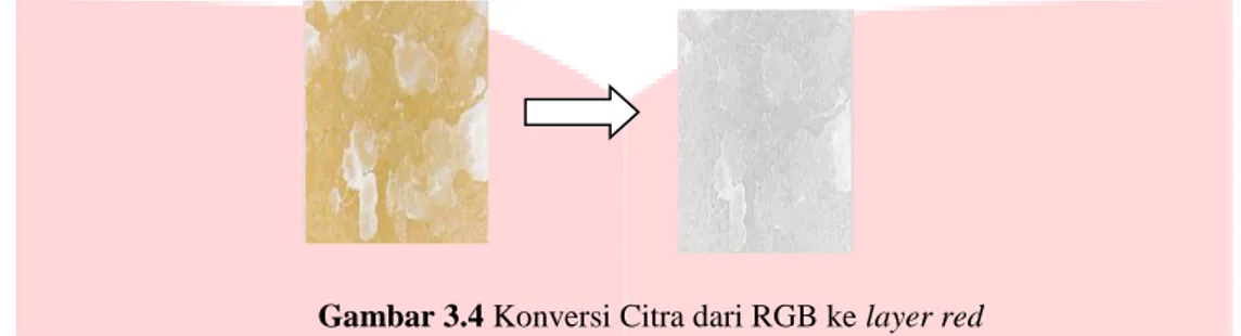 Gambar 3.4 Konversi Citra dari RGB ke layer red  3.4   Ekstraksi Ciri Deteksi Kualitas Keju Menggunakan Gabor Wavelet 
