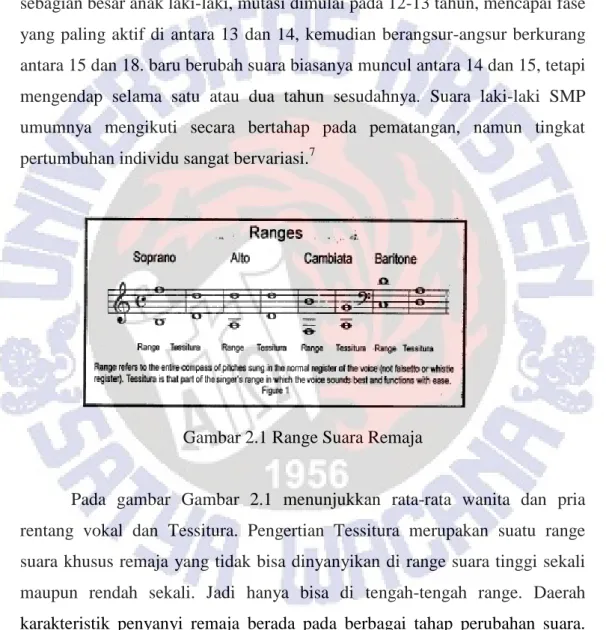 Gambar 2.1 Range Suara Remaja 
