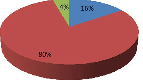 Gambar 4.2 Grafik pendapatan pengguna (%)  c. Kepemilikan Kendaraan 