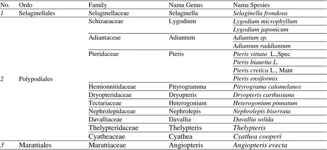 Tabel  4.1  Hasil  Identifikasi  jenis- jenis-jenis  tumbuhan  paku  terestial  dikawasan  Air  Terjun  Ngleyangan  Parang,  Kecamatan Banyakan  Kabupaten Kediri 