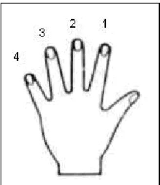 Gambar 15. Kode penjarian tangan kiri 