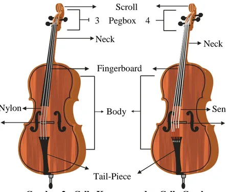 Gambar 2 : Cello Keroncong dan Cello Gesek   (Dok. Suryono 2014)