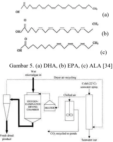 Gambar 6. diagram alir proses produksi mikroalga  menjadi produk nutrisi [2] 