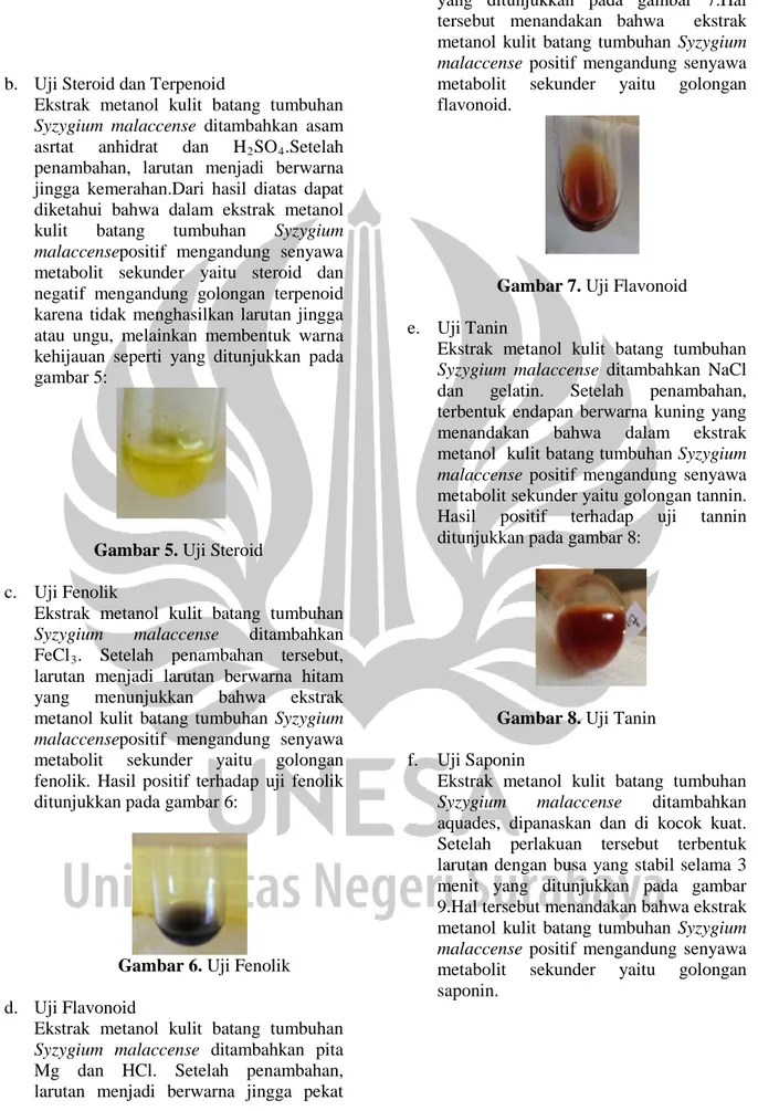 UJI FITOKIMIA EKSTRAK METANOL KULIT BATANG TUMBUHAN JAMBU BOL (Syzygium ...