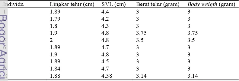 Tabel 3 Pengamatan lingkar telur, SVL, berat telur dan berat badan G.gecko 