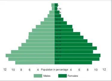 Figure 1: Bangladesh population pyramid, 2011