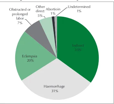 Figure 7:  Causes of maternal deaths in Bangladesh, 2010