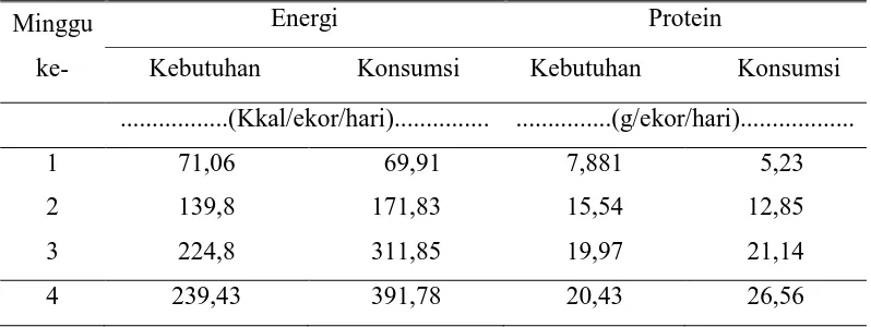 Tabel 3. Kebutuhan dan Konsumsi Energi dan Protein per hari melalui               Perhitungan 
