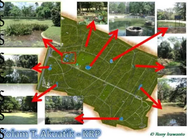 Gambar 1. Lokasi Kolam dan Tumbuhan Akuatik di Kebun Raya Purwodadi.  