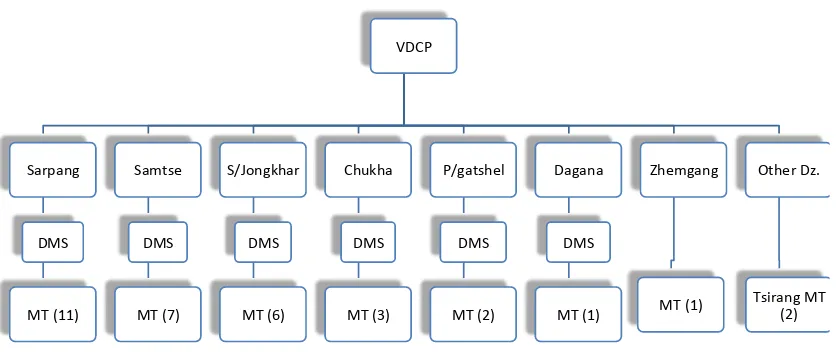 Figure 7: Organogram of decentralized activities in VDCP