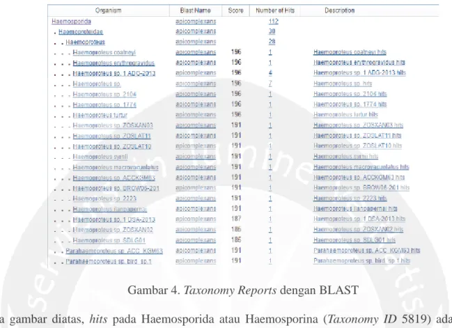 Gambar 4. Taxonomy Reports dengan BLAST 