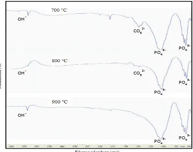 Gambar 2 Spektrum FTIR hidroksiapatit tulang ikan tuna pada berbagai variasi suhu sintering.