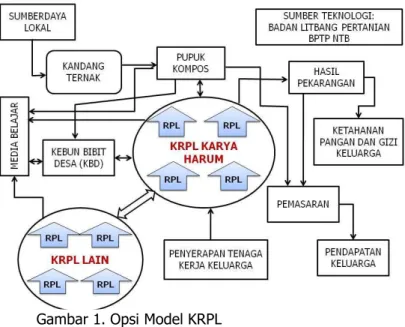 Gambar 1. Opsi Model KRPL 