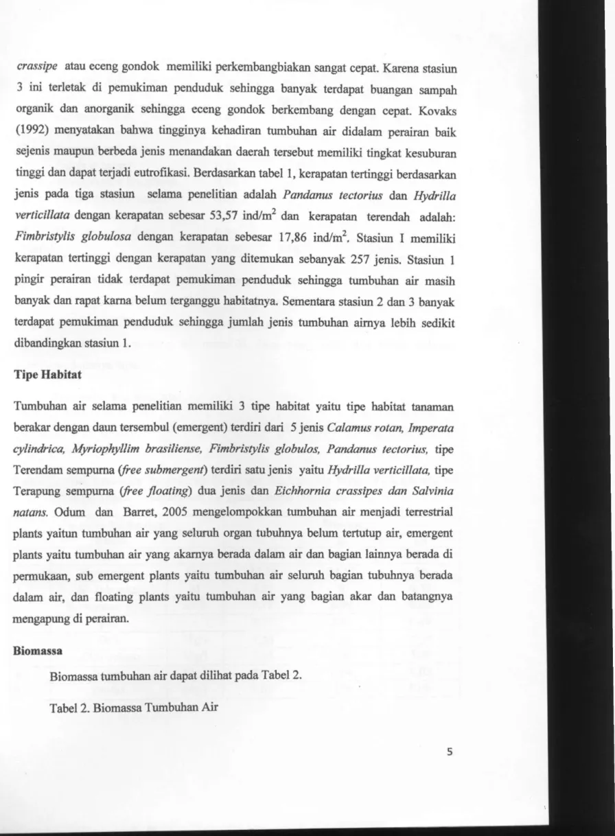 Tabel 2. Biomassa Tumbuhan Air 