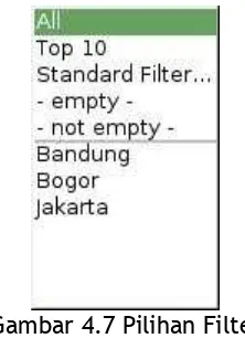 Gambar 4.6 Tampilan data yang diperoleh dengan filter Jakarta