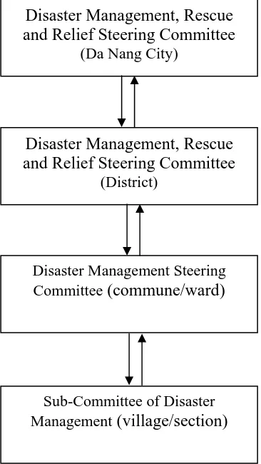 Figure 5. The operating activities of DMSC at all levels in Da Nang 