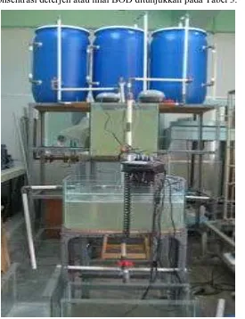 Gambar 3. Unit Proses Oksidasi Biokimia Pengolahan Limbah Deterjen Terpasang Hasil Rancangan