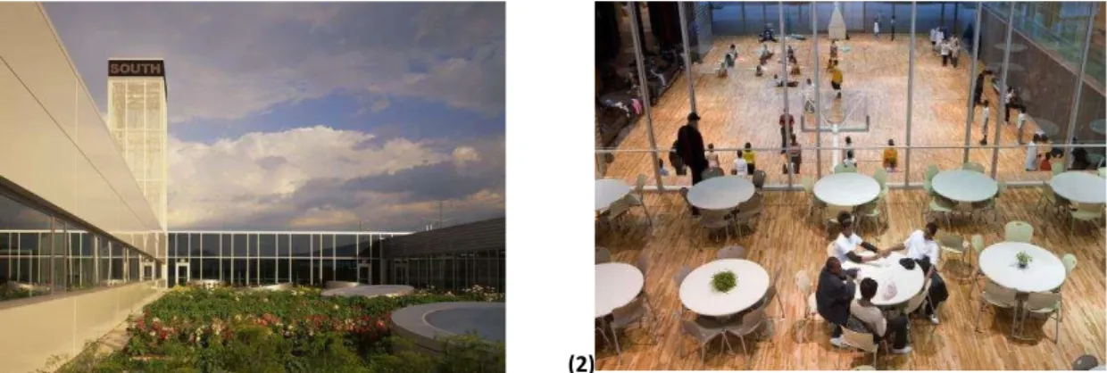 Gambar 2. 9 Ruang Luar dan Dalam The Gary Comer Youth Center  (1) Roof Garden; (2) Cafetaria  