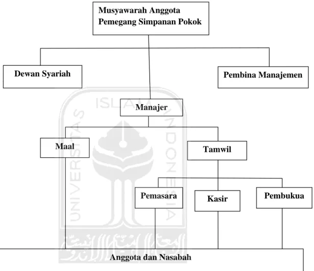 Gambar 2.1 Struktur Organisasi BMT (Standart Pinbuk) Musyawarah Anggota 