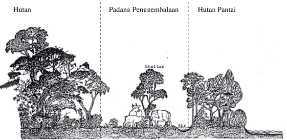 Gambar  3.  Lingkungan Hidup Banteng yang Ideal (Alikodra, 1983)  2.1.3.1.  Hutan Alam 