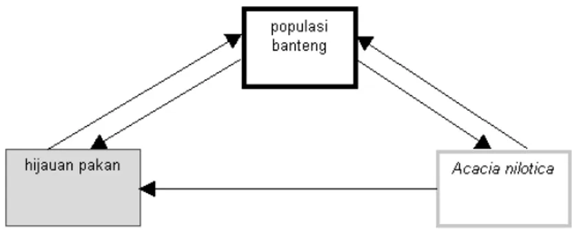 Gambar 6.  Model Dinamika Populasi Banteng di Padang Savana Bekol  