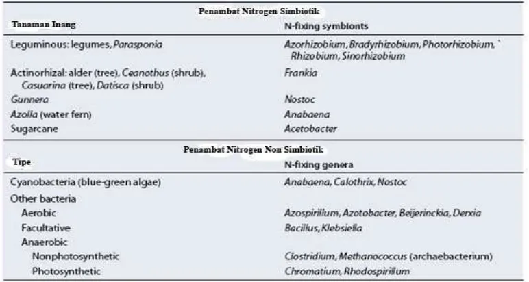 Tabel 1. Beberapa organisme yang dapat menambat nitrogen atmosfer