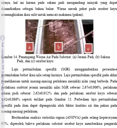 Gambar 14. Penampang Warna Air Pada Substrat. (a) Jerami Padi, (b) Sekam 