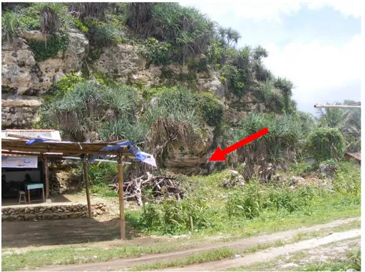 Gambar 5. Gerongan Pantai (Ditunjukkan Anak Panah) pada Tebing Bukit Karst  yang Terdapat di Utara Beting Gisik (Gisik Tua) 