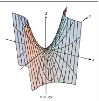 Gambar 14.11 Permukaan      memiliki suatu titik pelana pada titik pusat. (Thomas’s Calculus, 11th ed, p.1031) 
