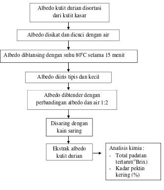 Gambar 4. Skema pembuatan ekstrak albedo kulit durian.