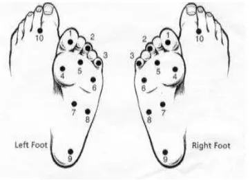 Figure 1 : Monofilamen tegak lurus pada kulit pasien Figure 2 : Monofilamen ditekan hingga bisa ditekuk 