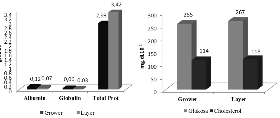 Gambar 1.  Profil Rata-rata Konsentrasi Parameter Biokimia Darah Ayam Ras Petelur Fase Grower Dan Layer sebagai Indikator Respon Cekaman Temperatur Lingkungan