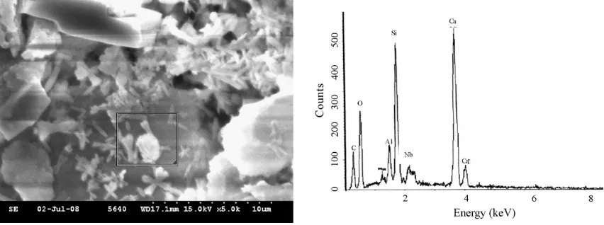Fig. 9. SEM/EDX micrograph of WGBC pastes contained 30% TFT-LCD waste glass after 56 days.