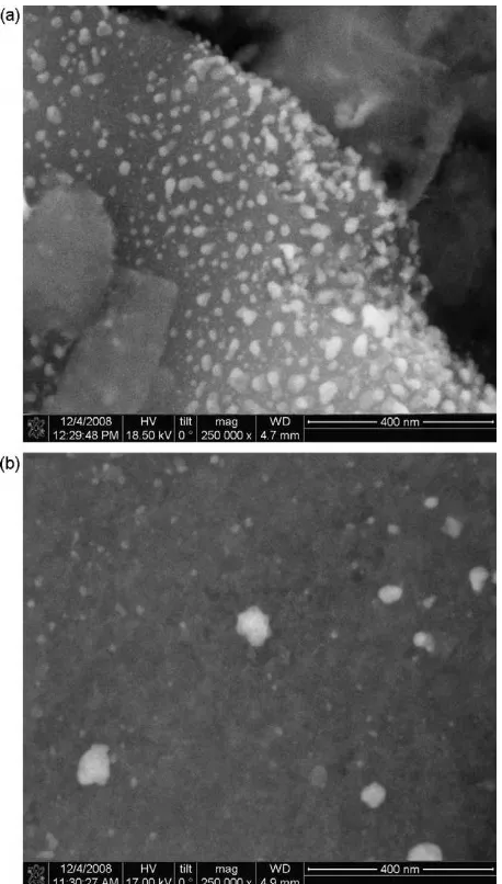 Fig. 1. (a) A high magniﬁcation FIB/SEM image conﬁrms the presence of nanoscaleiron (hydr)oxide nanoparticles in the synthesized bituminous Fe-GAC