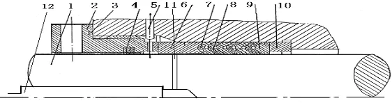 Figure 1. The structure of plunger seal friction pair 
