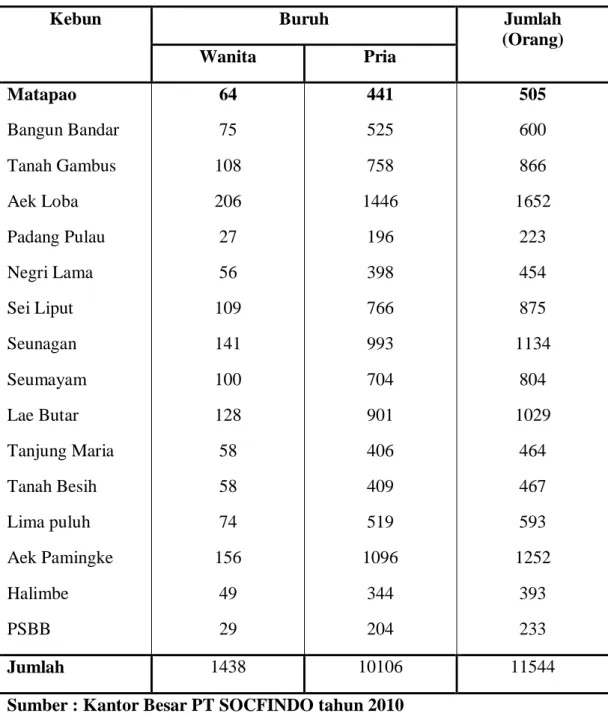 Tabel 1. Jumlah Tenaga Kerja Berdasarkan Jenis Kelamin di Seluruh  Kebun PT SOCFINDO. 