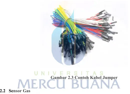 Gambar 2.3 Contoh Kabel Jumper 