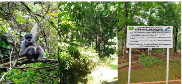 Gambar 1. Kegiatan konservasi keanekaragaman hayati oleh PT Pertamina EP Asset 3  Subang Field 